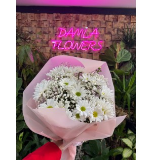 PEMBE PAKET BEYAZ PAPATYA